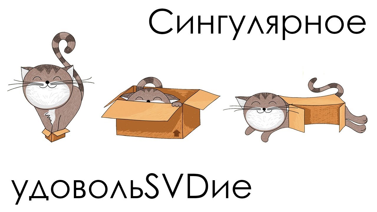 Сингулярное удовольSVDие
