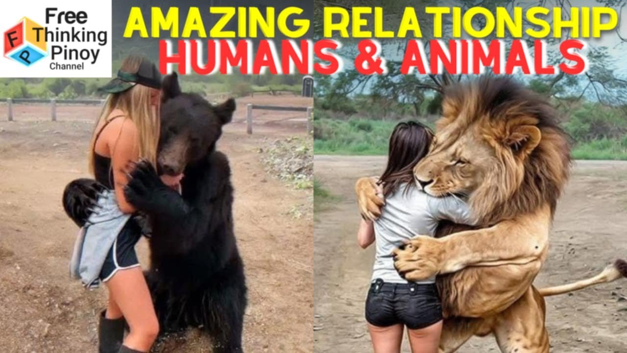 COMPILATION HINDI SILA NAKALIMOT SA AMO | Sweetest Animal Reunion