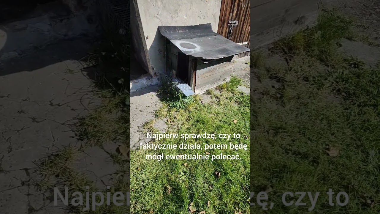 Walka z kunami i kretami na ten moment jest przegrana🤣🤣
