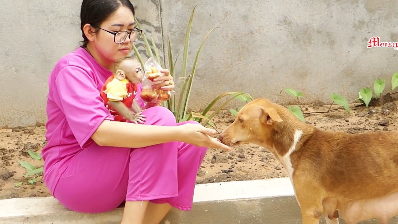Jenna Follow Mom To Feed Cake For Dog, Jenna Talking To Dog & Run Escape