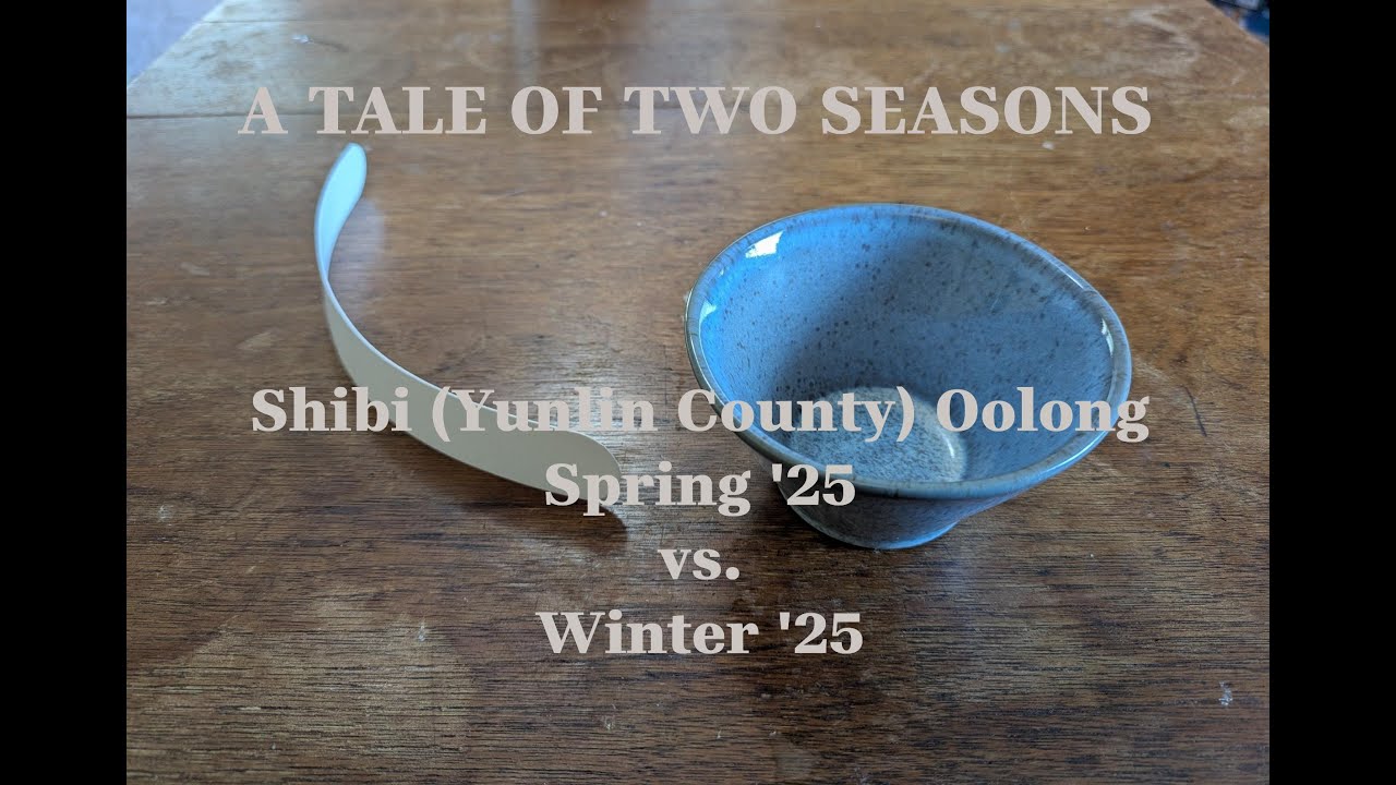 Shibi (Yunlin County) Oolong (Spring ’25 vs. Winter ’25)
