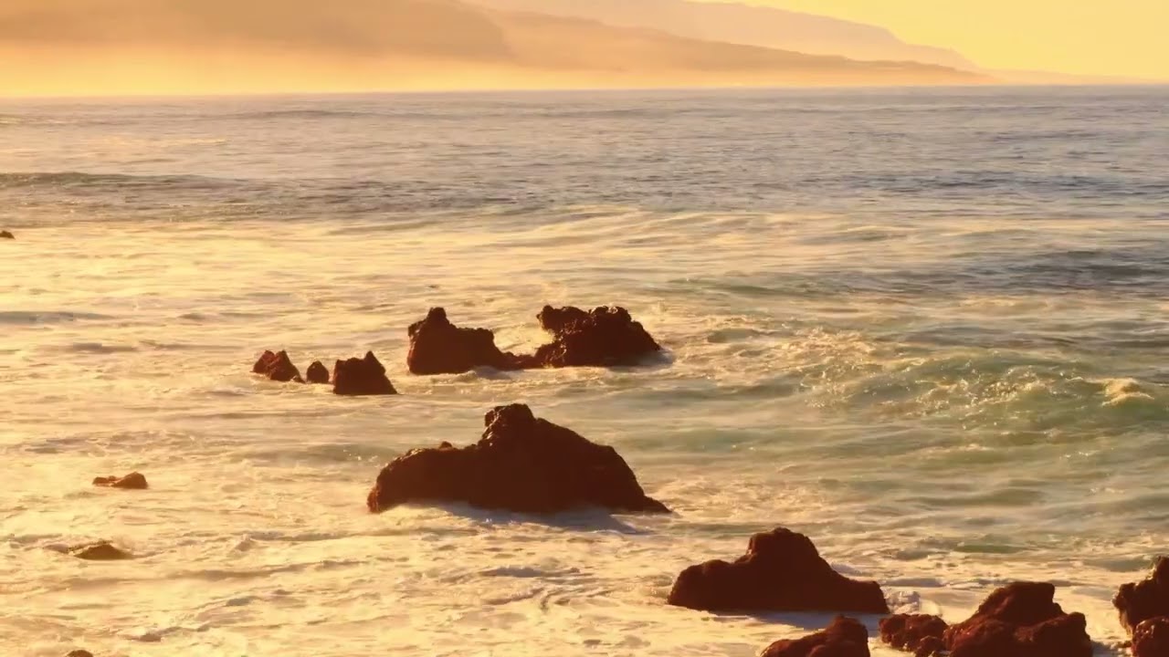 Estudo com Fernando Ben na Casa de Fátima - 20/04/2022