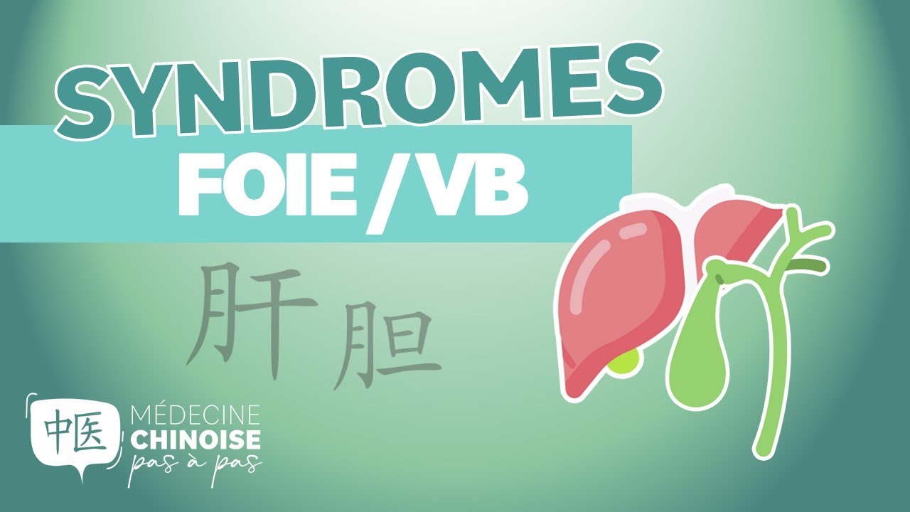 #38 - SYNDROMES du FOIE et de la VÉSICULE BILIAIRE en Médecine Chinoise