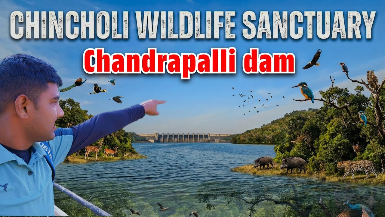 Ride to Chincholi 🤩wildlife😱 sanctuary⛰️