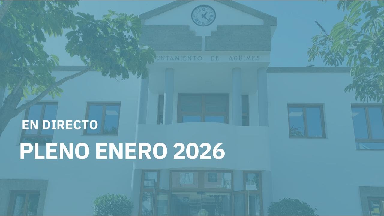 PLENO ORDINARIO ENERO DE 2026