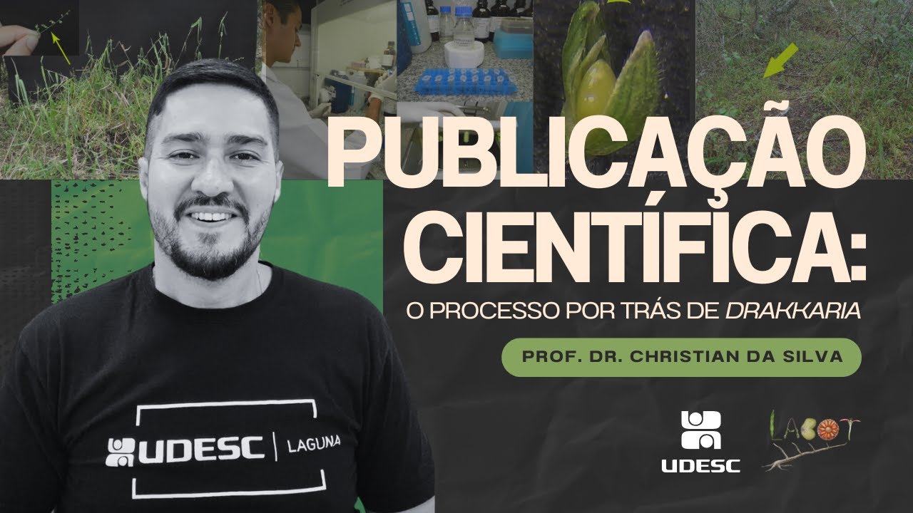 Artigo Cient&iacute;fico: O Processo de Pesquisa por Tr&aacute;s de 