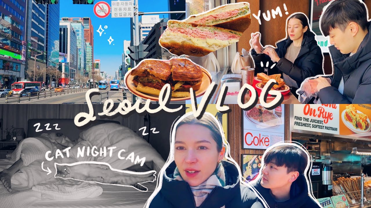 Seoul vlog 🇰🇷 comfort food in gangnam, cat night cam craziness  📹 winter blues | DINK couple's life