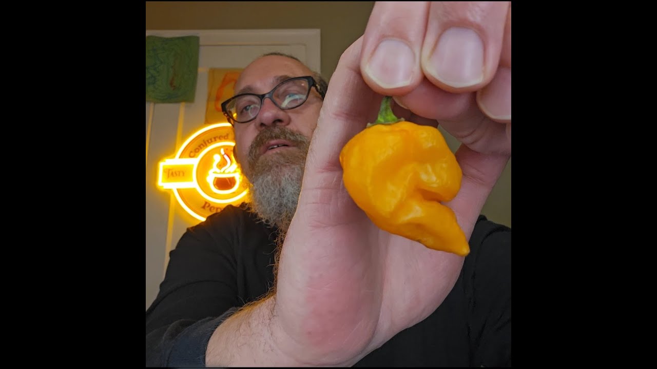 🔥 Starbonero Pepper Review &ndash; Sweet Heat and Fiery Flavor from Brent Retherford&rsquo;s Garden!
