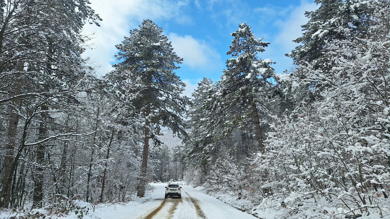 Yalova/Armutlu/Selimiye köyü