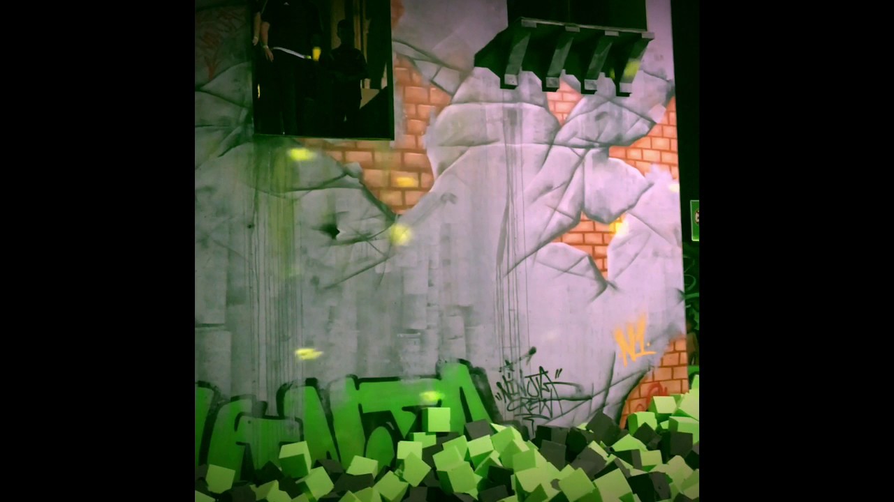 Few Clips From Flip Out Chester