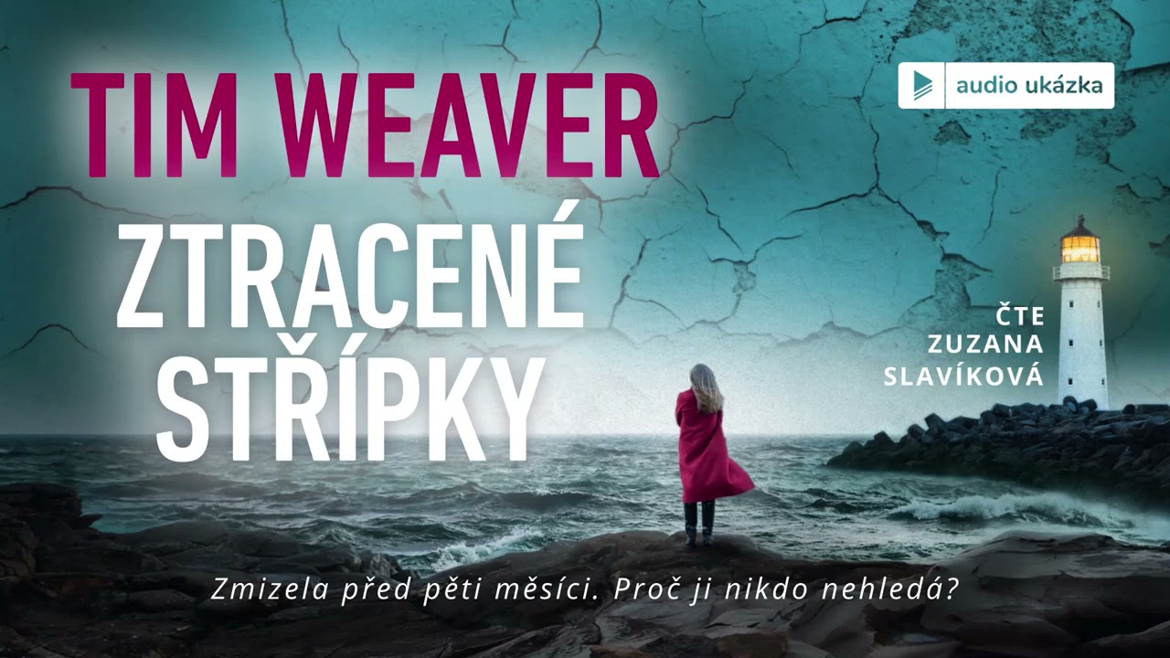 Tim Weaver - Ztracené střípky | Audiokniha