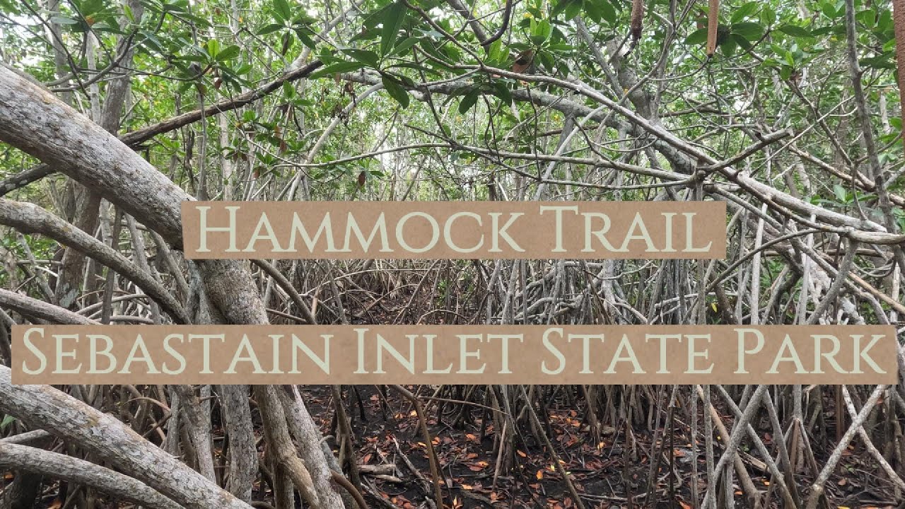 Hiking Hammock Trail at Sebastian Inlet State Park