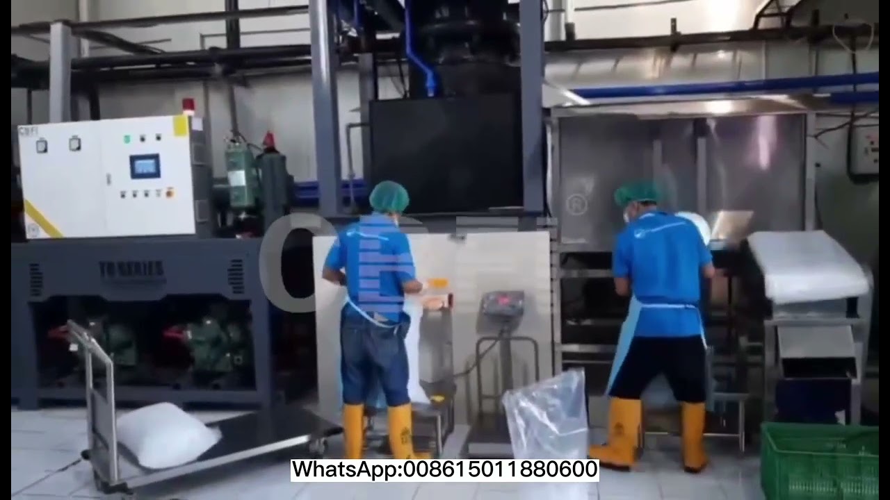 CBFI 10-ton tube ice factory