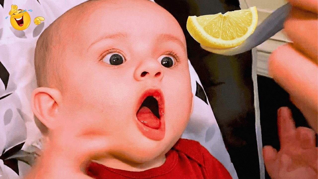 TRY NOT TO LAUGH🤣Epic Moments When Baby Being Agent Of CHAOS🤣 Funny Baby Moments