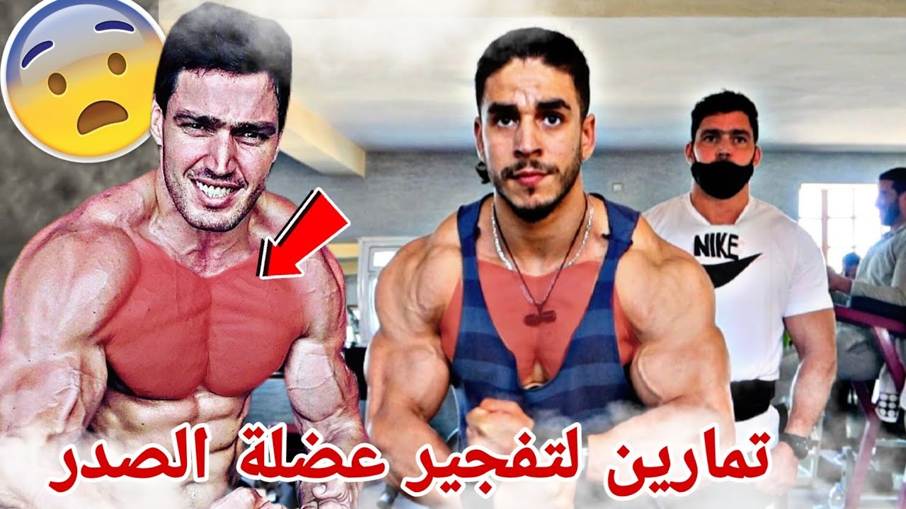زيادة كثافة الصدر | بهذا البرنامج تزاد حجم الصدر serious chest with reda