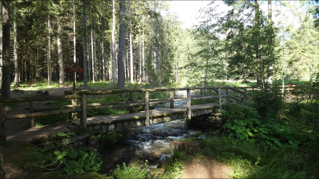 La val di Rabbi e il ponte sospeso