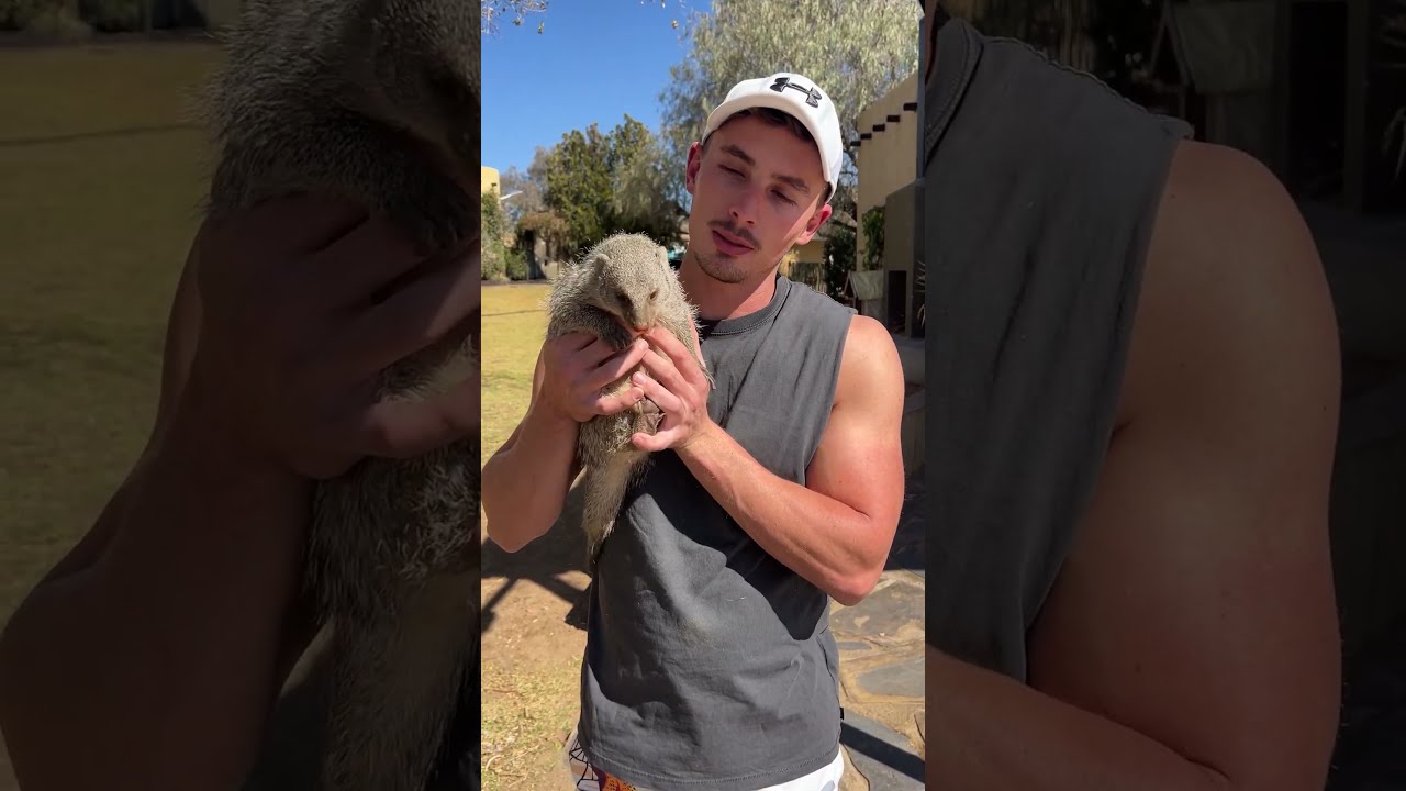 Mongoose make THE cutest sounds! 😍🔊