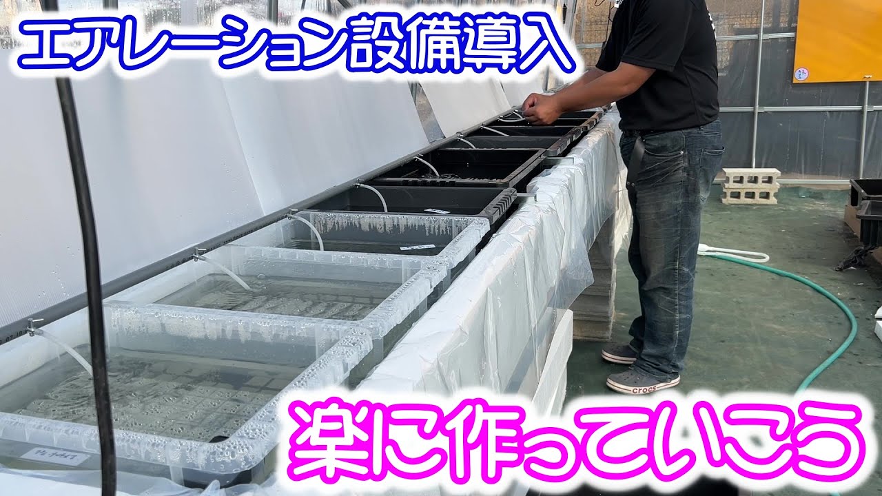 【めだか】エアレーション設備の導入！道具を使って楽に作っていく。Ｂ型おやじ
