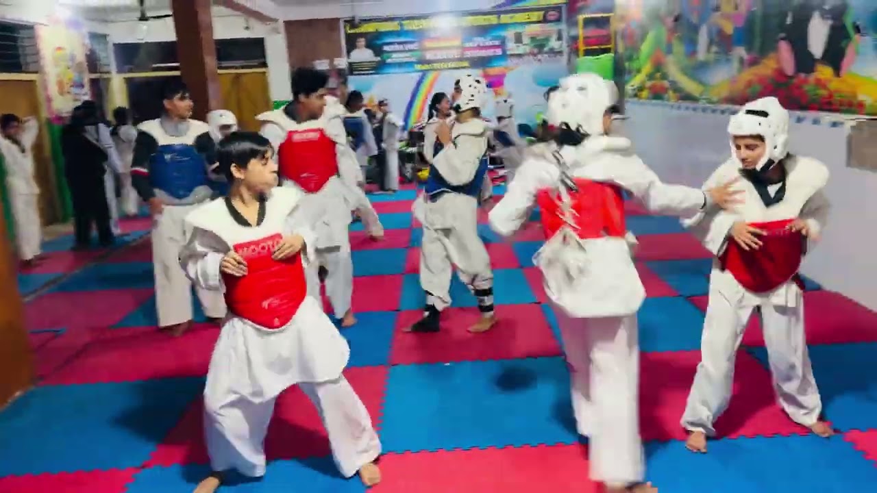 CHAMPIONS TAEKWONDO SPORTS ACADEMY NIRMAL HAPPY SCHOOL, MOHAN NAGAR ,HINDAUN CITY 