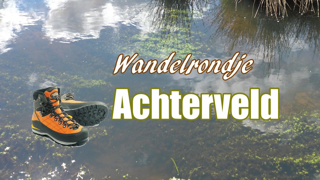 Achterveld Area 4K | Nature Walking Tour Netherlands