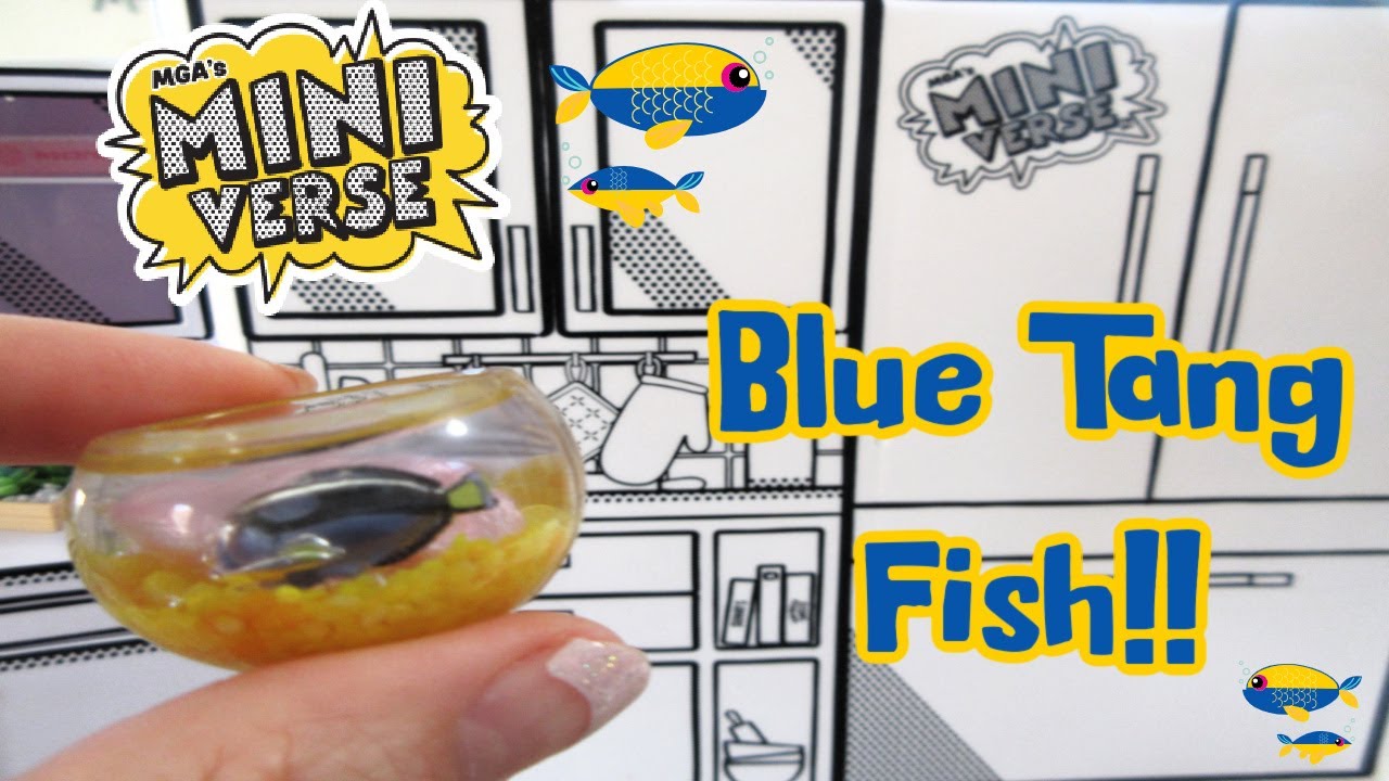 Miniverse Blue Tang Fish | Make it Mini Lifestyle
