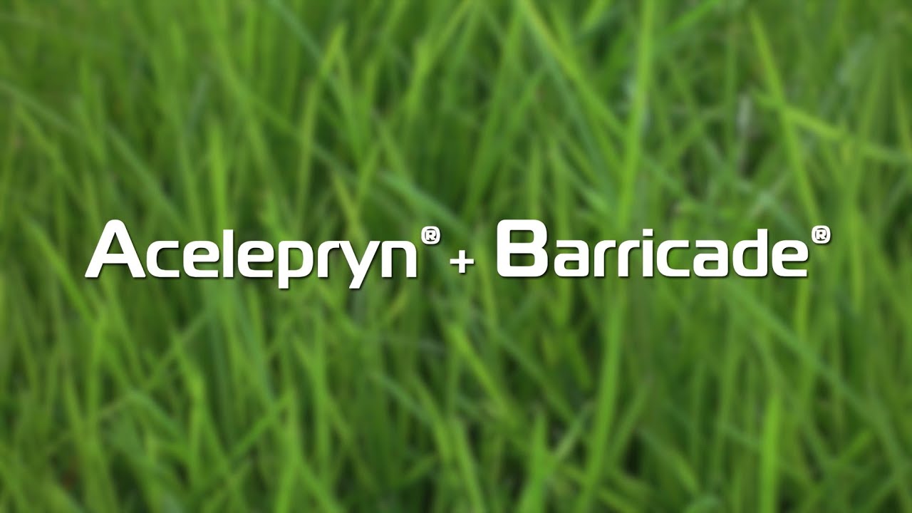 Introducing LebanonTurf’s Acelepryn + Barricade Combination Fertilizer
