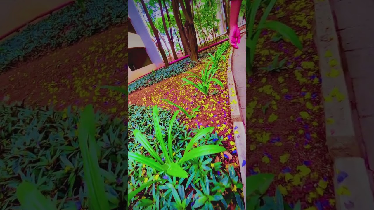 #campus #wipro #electroniccity #bangalore #kormangala #sarjapur #follow #hosur #bangalore #majestic