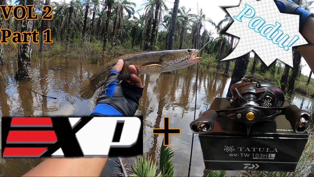 Daiwa Tatula Sv Tw (2020) Memang padu! Umpan Solf Frog EXP Terkiller 2020! Casting Haruan Vol2 Part1