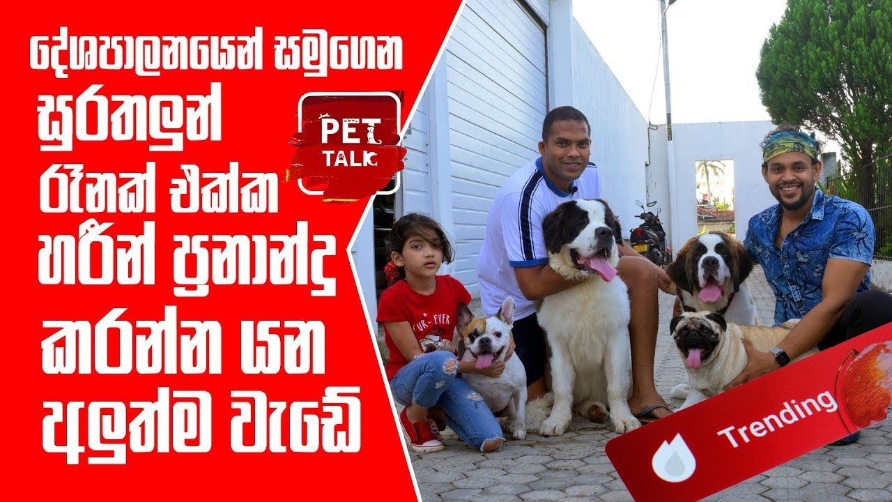 දේශපාලනයෙන් සමුගෙන සුරතලුන් රෑනක් එක්ක හරීන් ප්‍රනාන්දු කරන්න යන අලුත්ම වැඩේ | Pet Talk