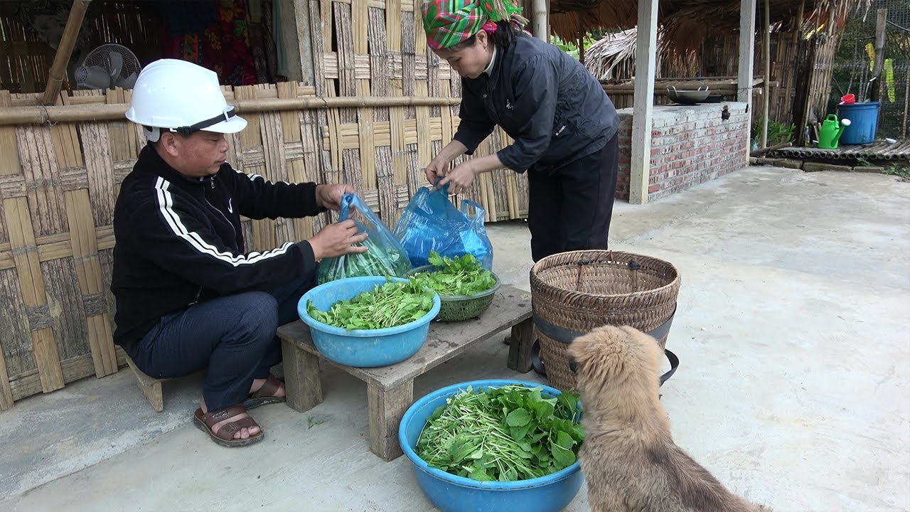 Homeless single mother finds peace and security with a kind CEO, Harvest vegetables