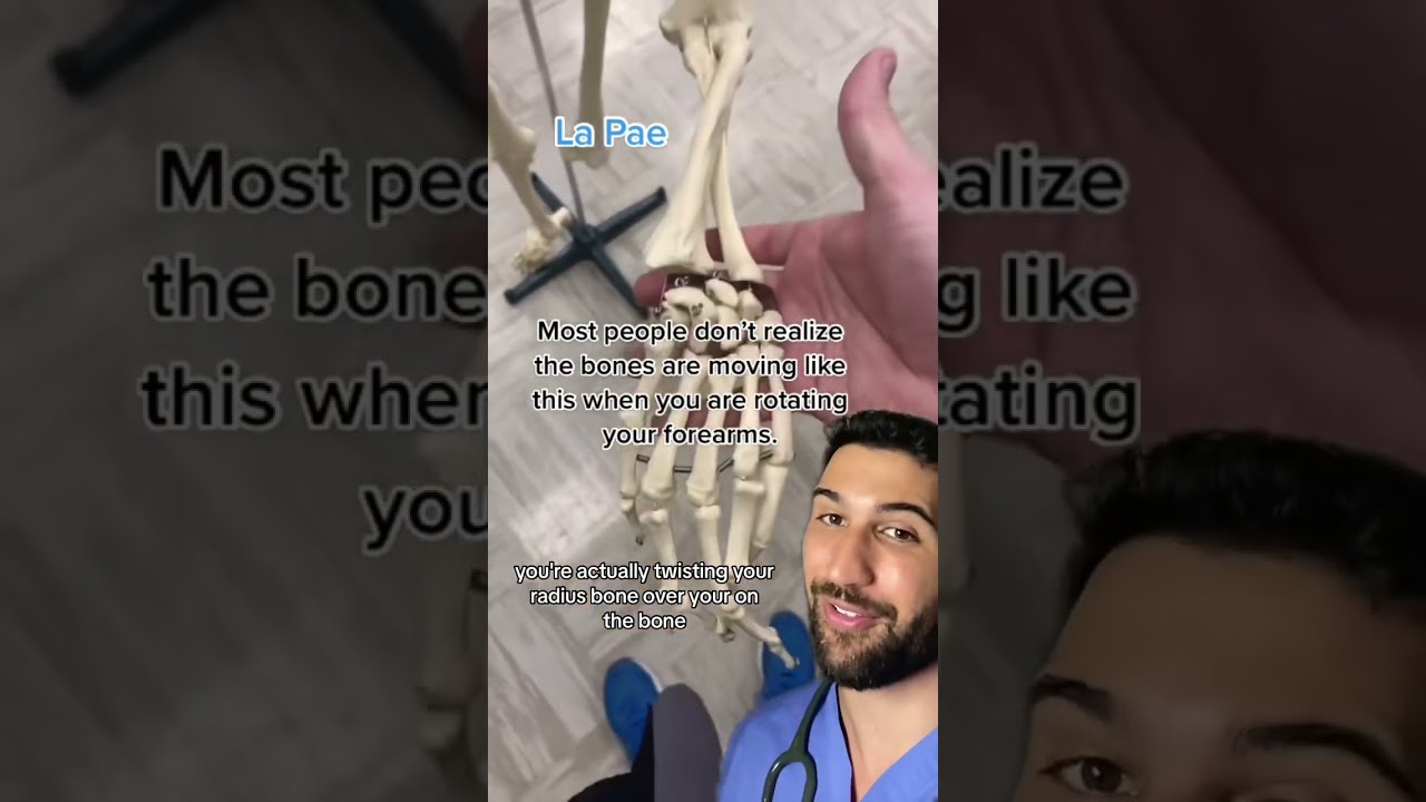 How Your Forearm Bones Look When you Twist Your Arm #anatomy