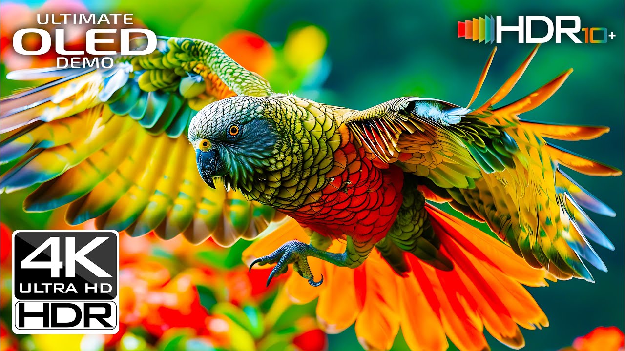 Incredible 4K 60FPS HDR Test | 4K Nature 4K Ultra HD Video (4K/8K TV )