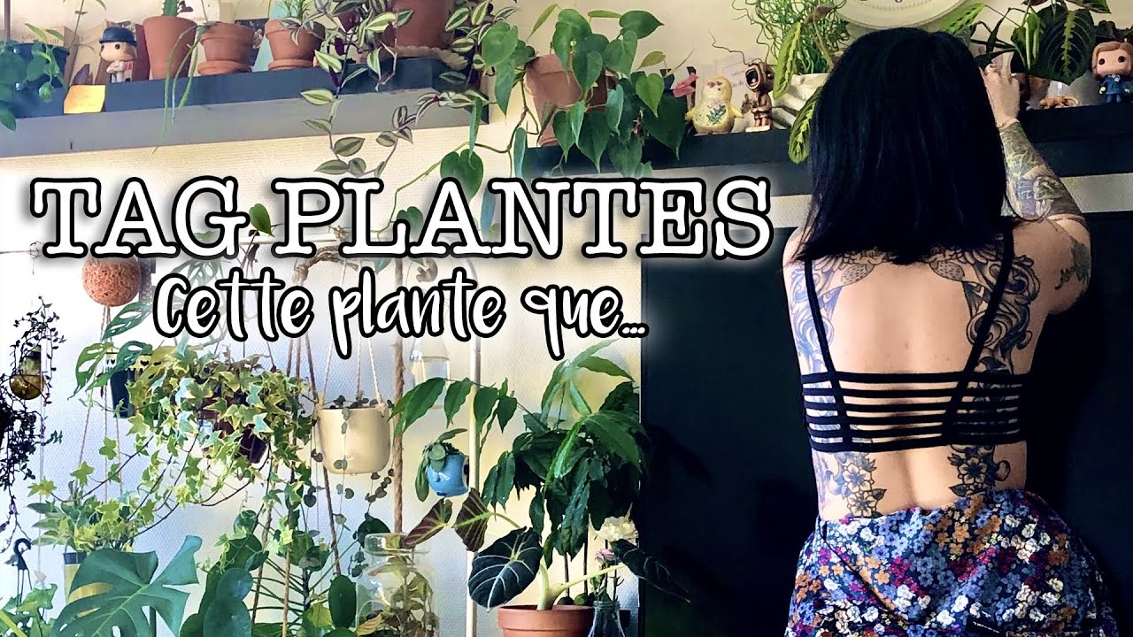 [TAG] Cette plante que... TOUJOURS PLUS DE VERDURE !