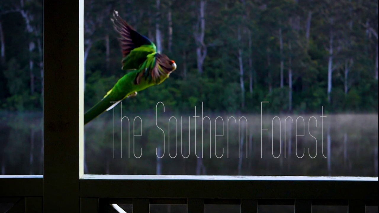 RAC's Karri Valley Resort