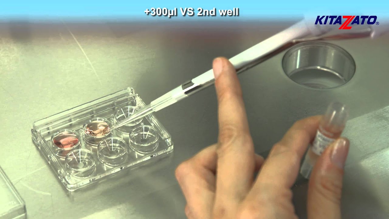Kitazato Cryotop&reg; Embryo Vitrification - Open System