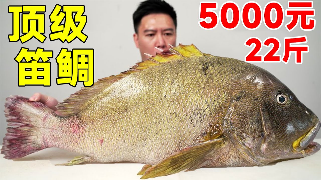 5000 юаней, чтобы купить лучшие морские товары весом в десятки фунтов.