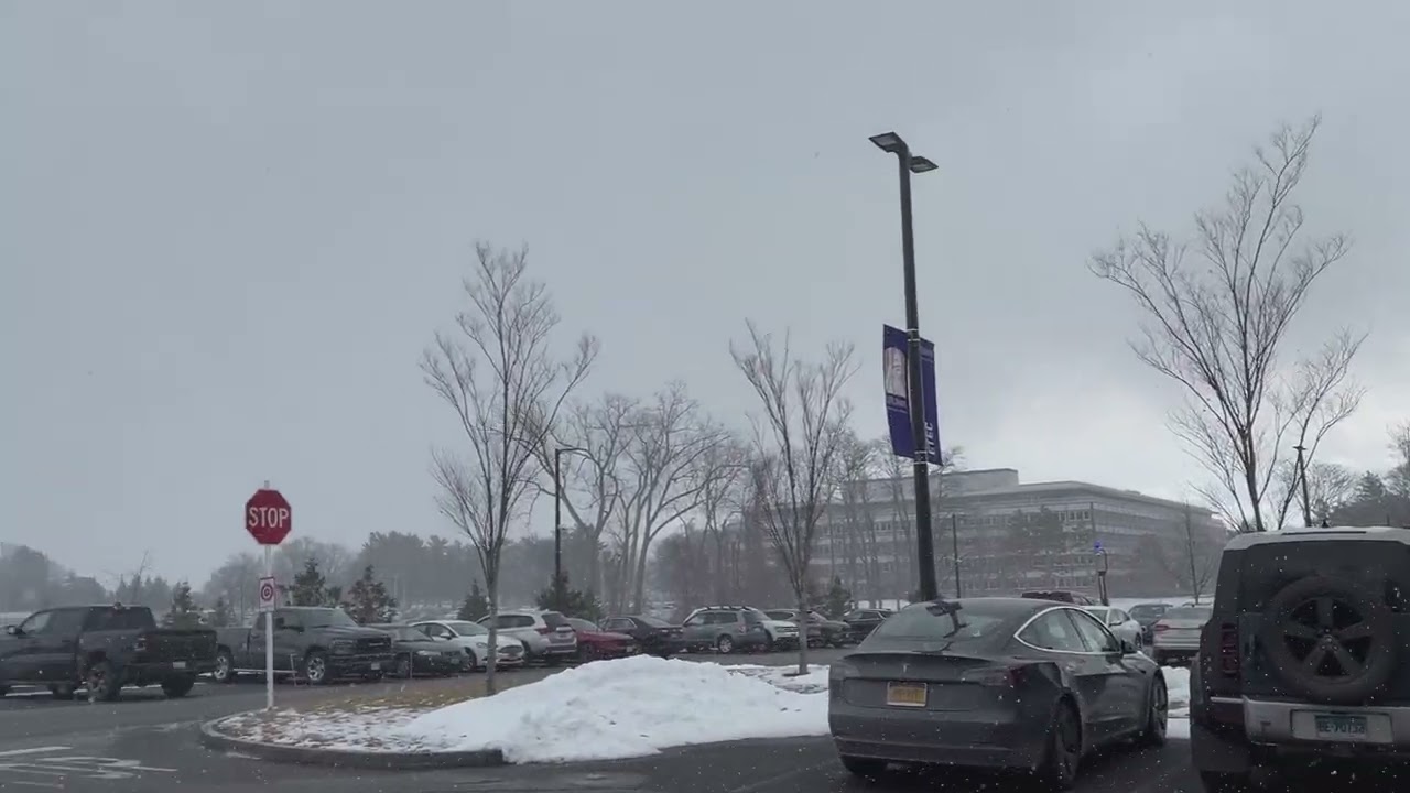 Heavy Snow Squall January 22, 2026 Albany, NY
