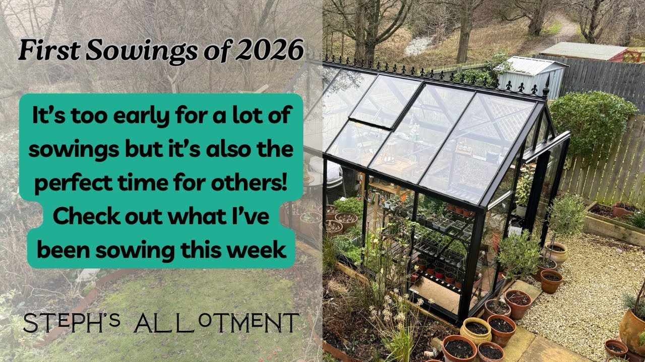 First Seed Sowings of 2026!
