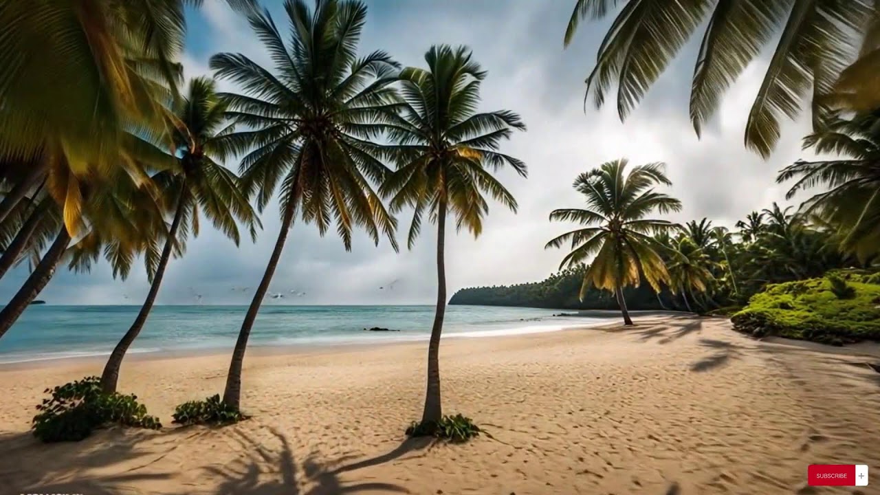 Reggae Music Mix 2025  😍  Best Reggae Love Beach Songs ,Top Reggae Special Relax  Music Special 33