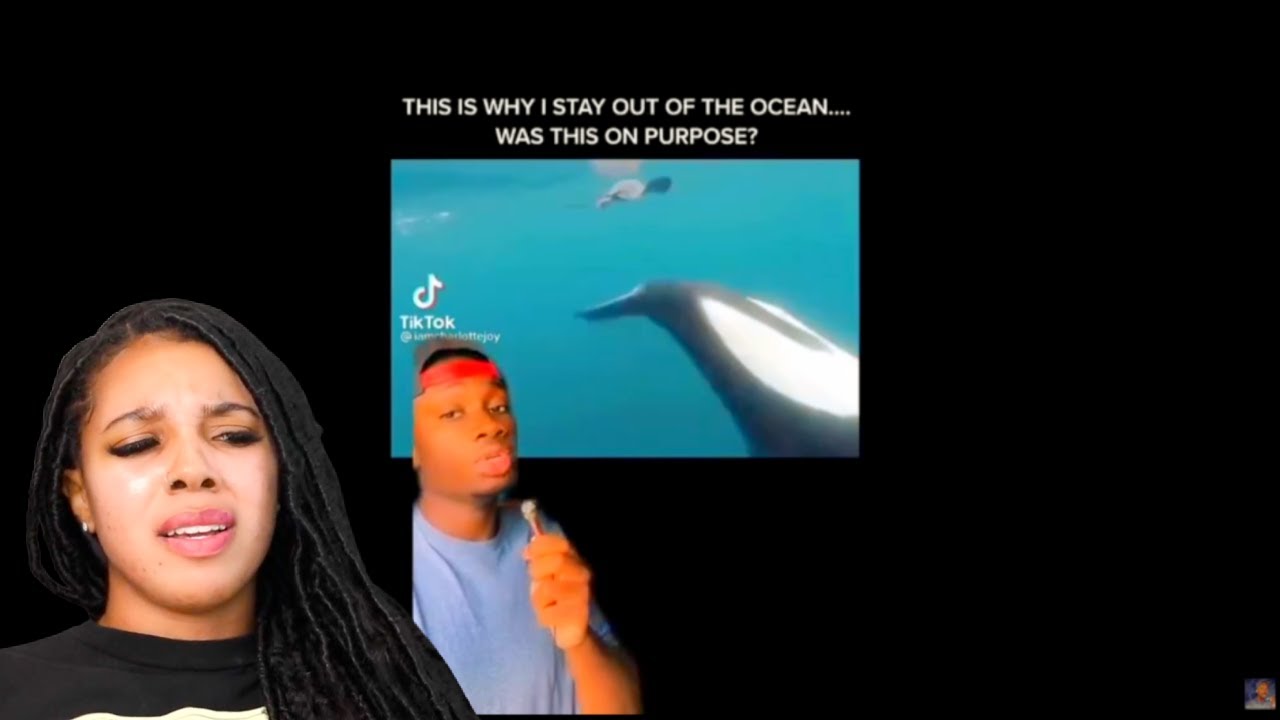 Why Orcas are The Most Disrespectful Animals on the Planet - Hood Nature | Reaction
