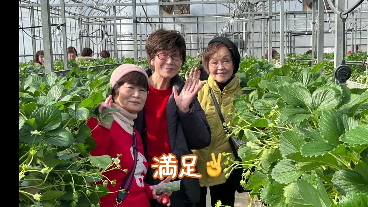 2026年1月「いちご狩り」パート1