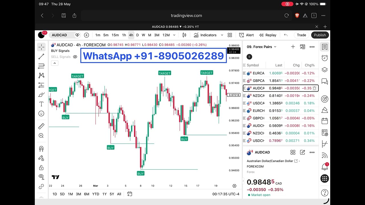 With THIS Advanced Indicator, It's IMPOSSIBLE to Lose! [Next-Level Tool] 
