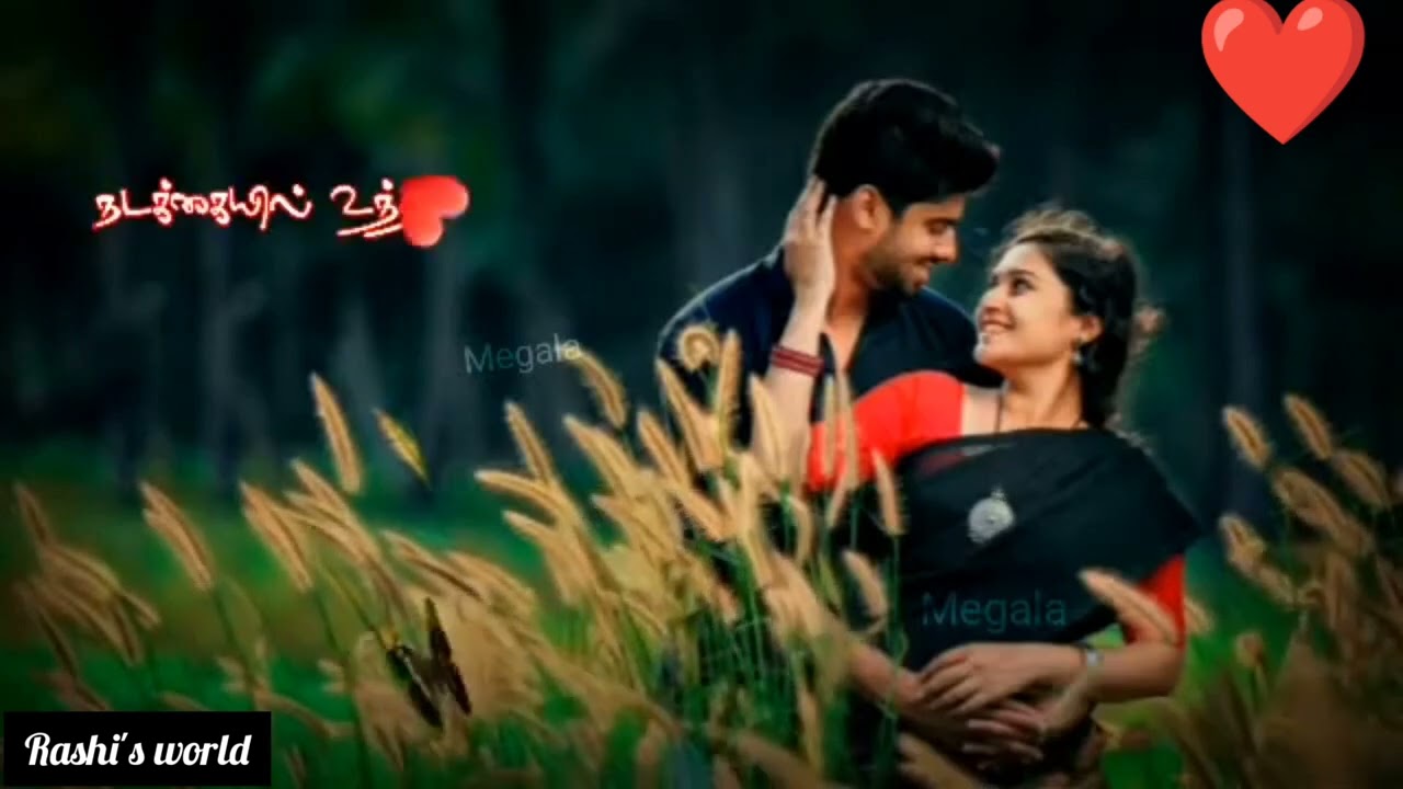 ❤️❤️❤️❤️❤️❤️...... #shortsvideo#tamilsong#lovesong#rashisworld#