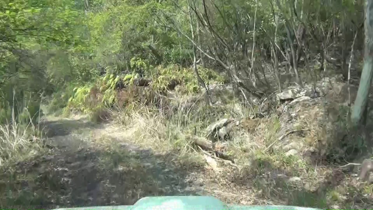 【暮坂峠】大阪府豊能郡能勢町山内～宿野(2017.05.01)