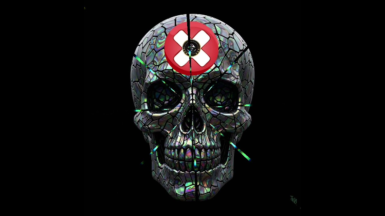 Fout-The Moose Remix 