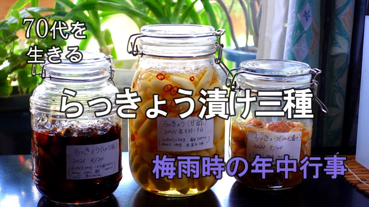 【70代を生きるNo.35】らっきょうの甘酢漬け／醤油漬け／味噌漬け／紫陽花散歩