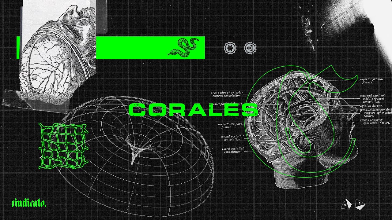 Real Project ft Daymé Arocena_Corales (Video Oficial)