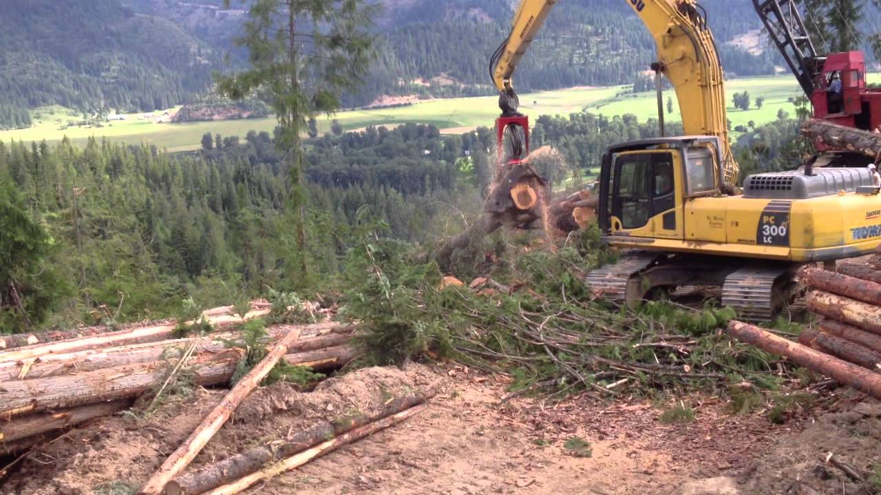 Komatsu 398 Processing Head working in Idaho Cedar #2