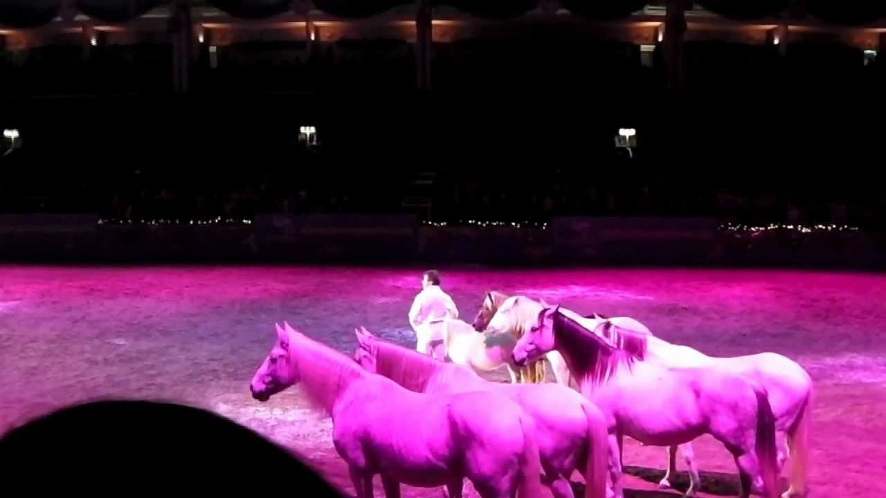 London Horse Show 2012 - Jean-Francois Pignon - the horse whisperer