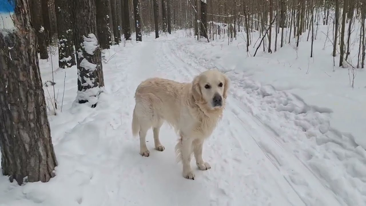 Зима ч.I.